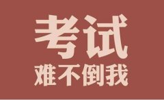 智立方汇总2019年上海小升初公办学校对口表