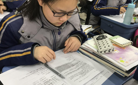 昂立智立方,初中语文阅读能力提升